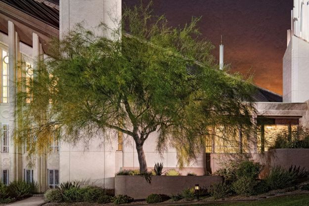 Picture of Las Vegas Temple Tree