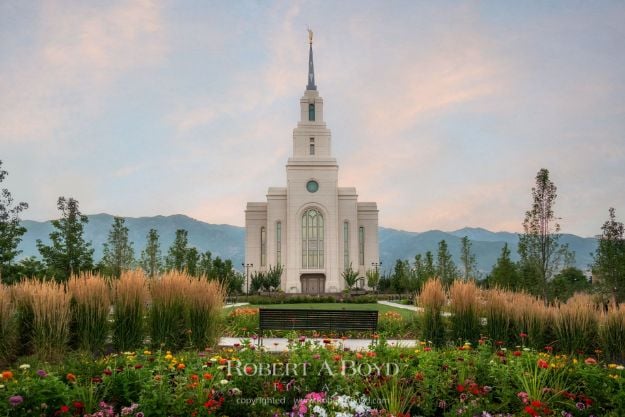 Layton Utah Temple - Flowers